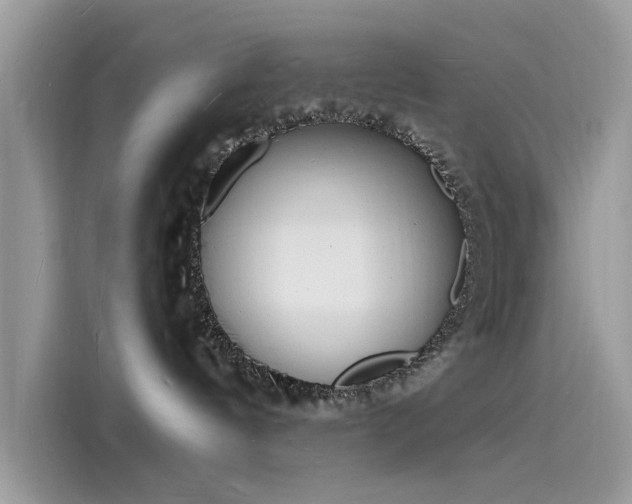 X0000116130144200911301354
