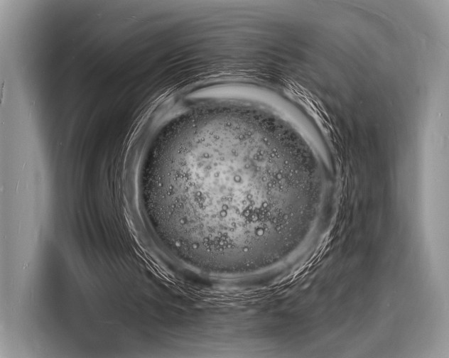 X0000116130145200911301354