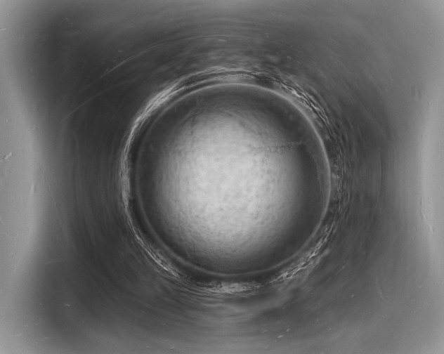 X0000116130149200911301354