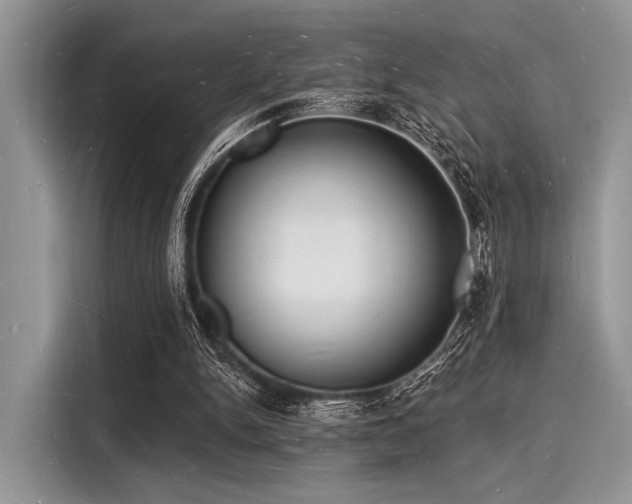 X0000116130150200911301354
