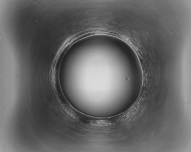 X0000116130151200911301354