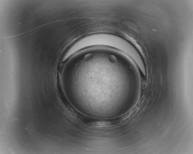 X0000116130154200911301354