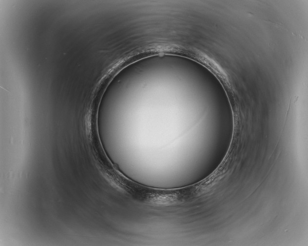 X0000116130155200911301354