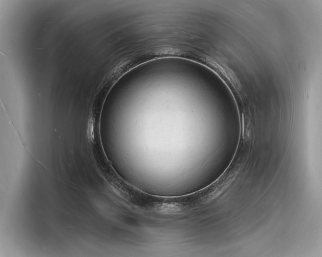 X0000116130157200911301354