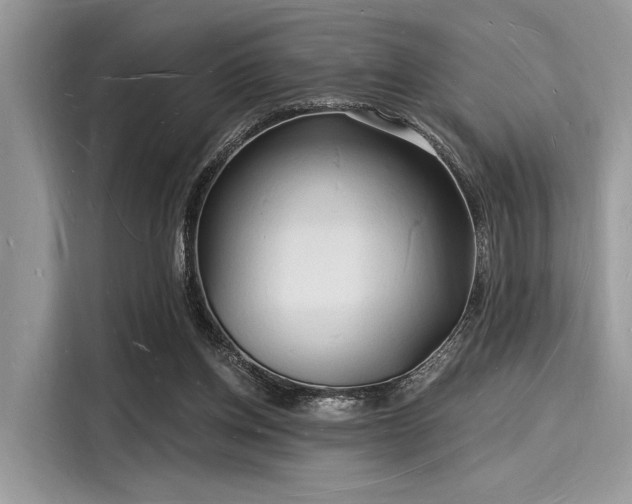 X0000116130158200911301354