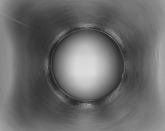 X0000116130159200911301354