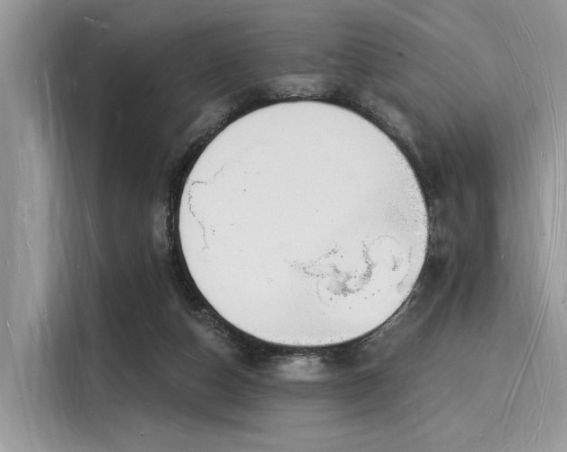 X0000116130162200911301354