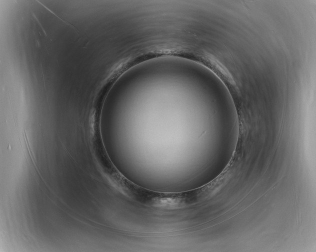 X0000116130163200911301354