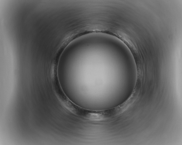 X0000116130167200911301354