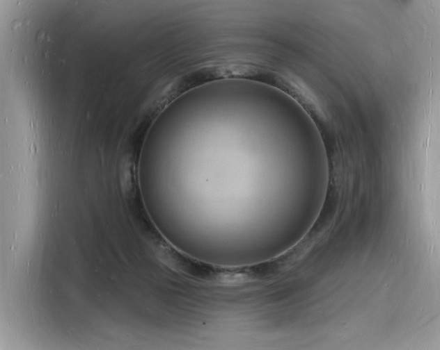 X0000116130169200911301354