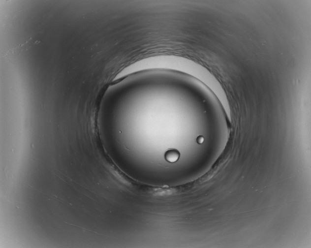 X0000116130185200911301354