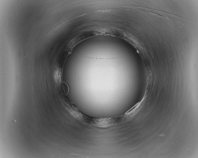 X0000116130191200911301354