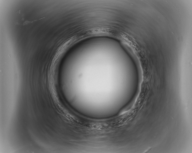 X0000116130193200911301354