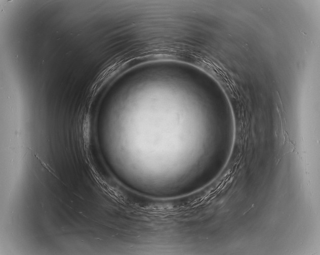 X0000116130194200911301354