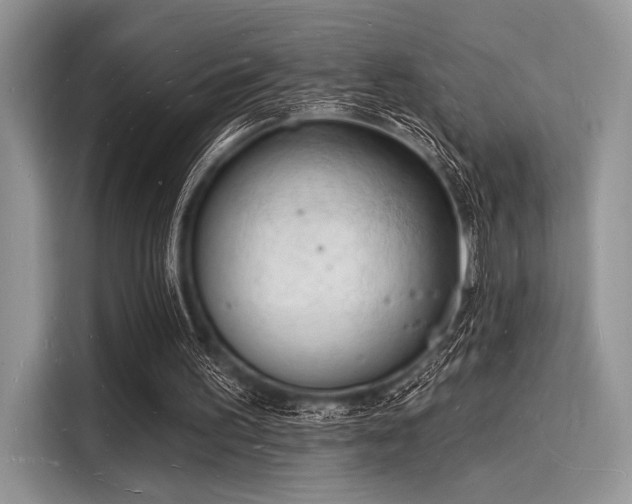 X0000116130195200911301354