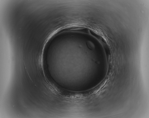 X0000116130196200911301354