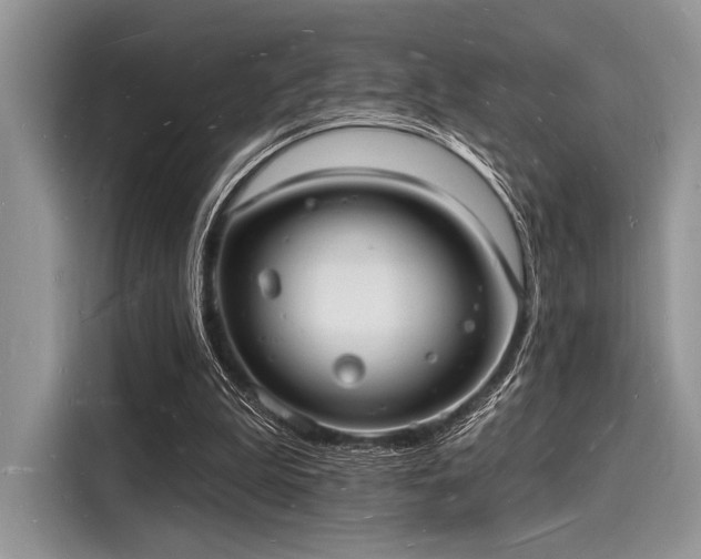 X0000116130199200911301354