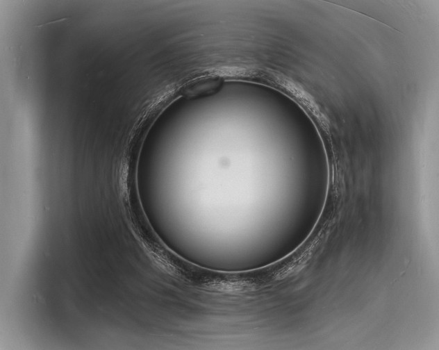 X0000116130201200911301354