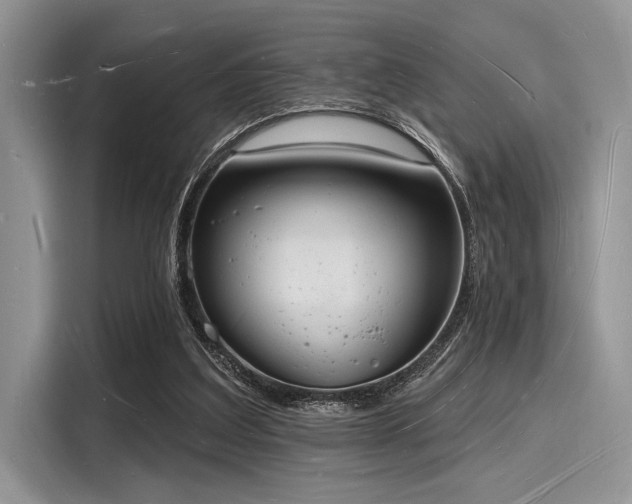 X0000116130203200911301354