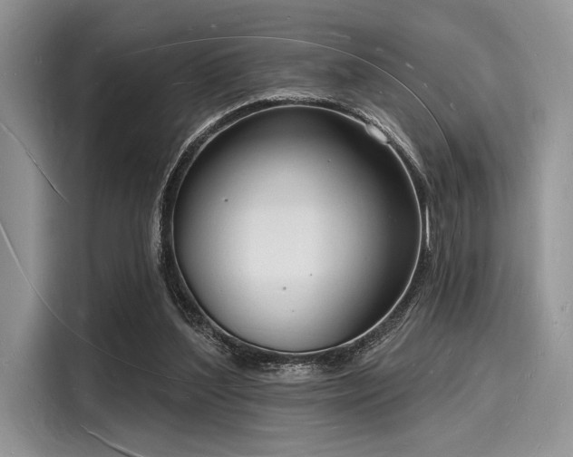 X0000116130204200911301354