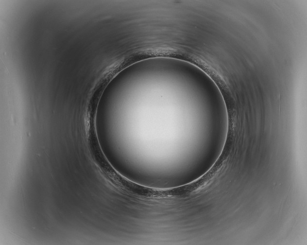 X0000116130206200911301354