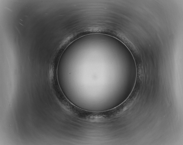 X0000116130208200911301353