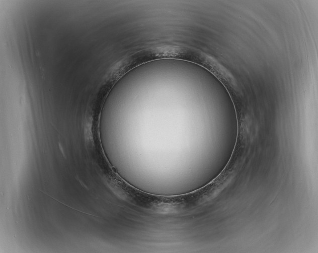 X0000116130209200911301353