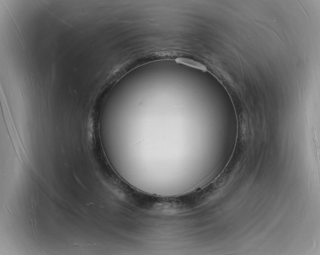 X0000116130211200911301353