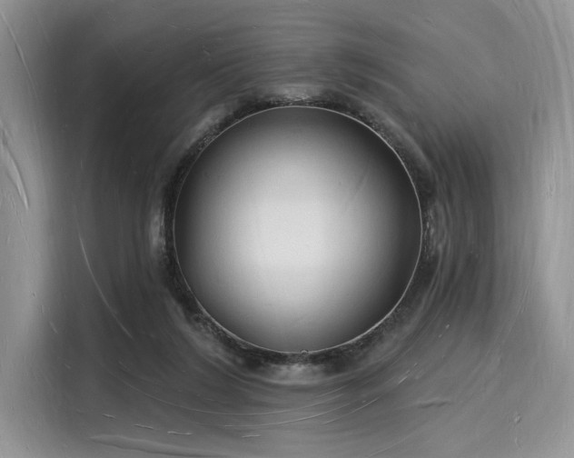 X0000116130212200911301353
