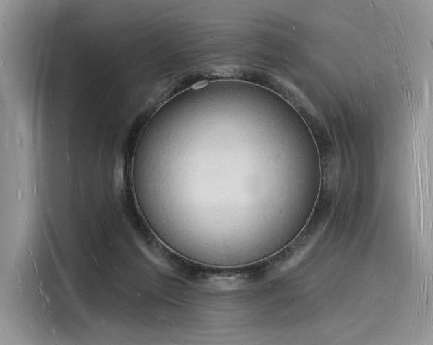 X0000116130213200911301353