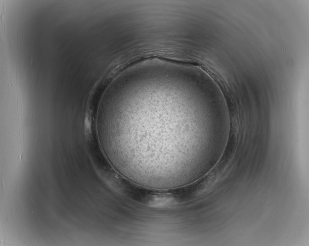 X0000116130214200911301353
