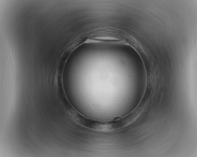 X0000116130217200911301353