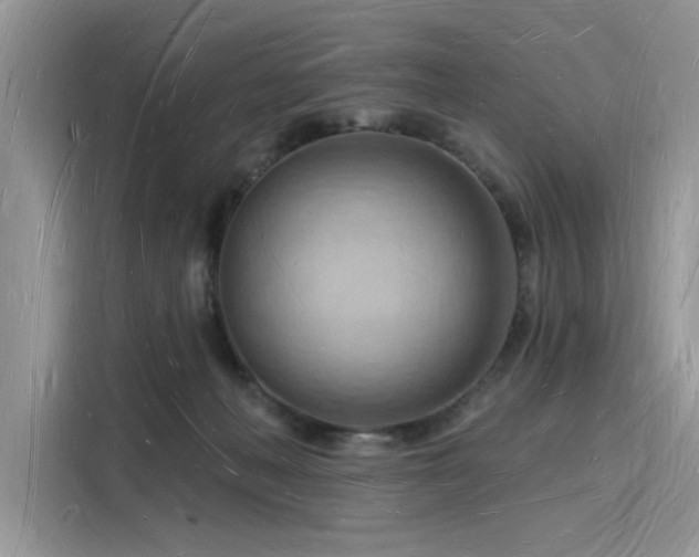 X0000116130222200911301353