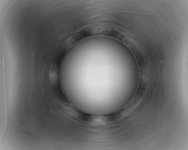 X0000116130226200911301353