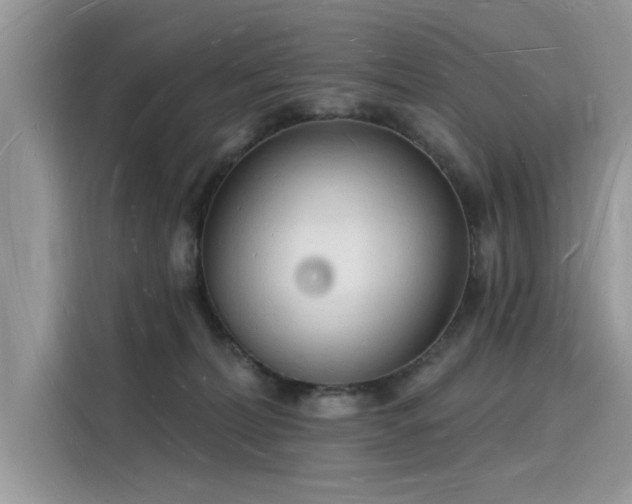 X0000116130228200911301353