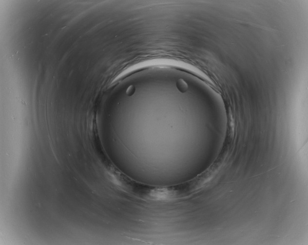 X0000116130231200911301353