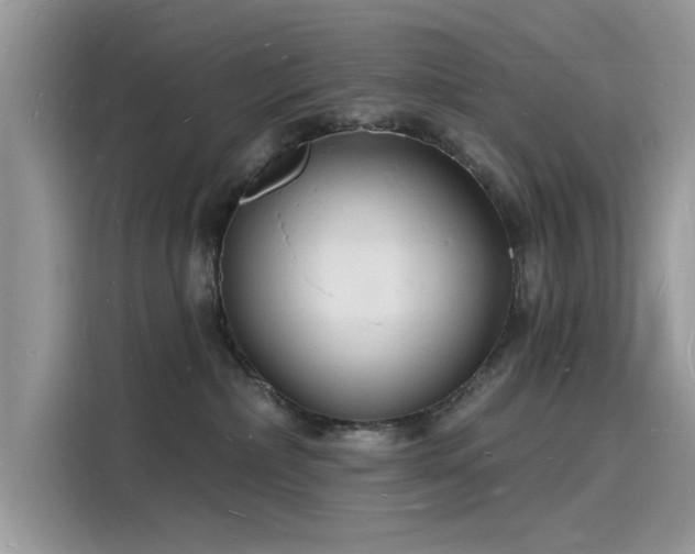 X0000116130236200911301353