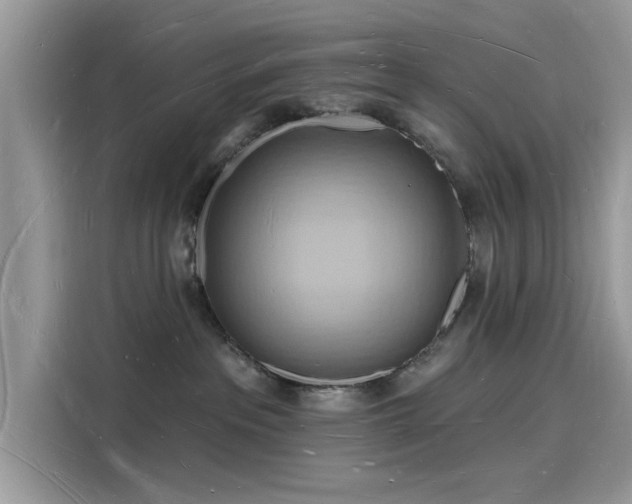 X0000116130237200911301353