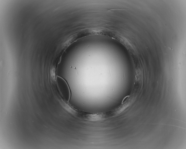 X0000116130238200911301353