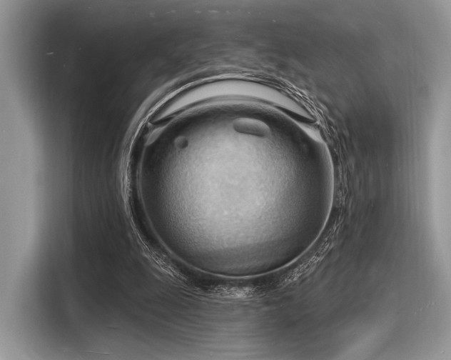 X0000116130247200911301353