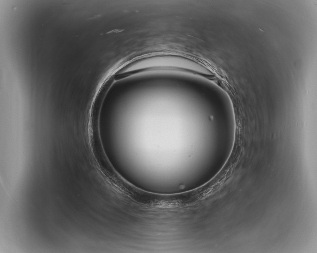 X0000116130248200911301353