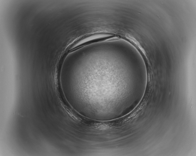 X0000116130249200911301353