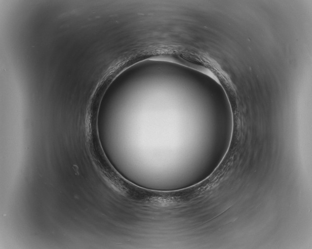 X0000116130250200911301353