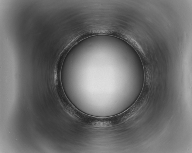 X0000116130251200911301353