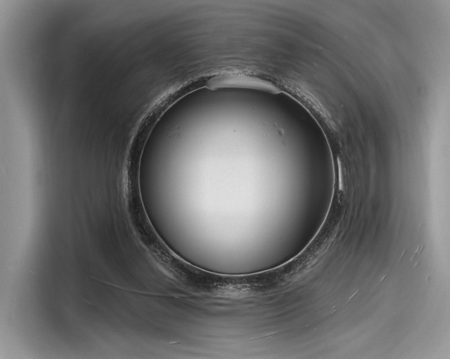 X0000116130252200911301353