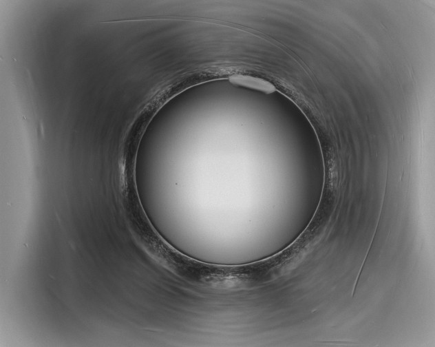 X0000116130254200911301353