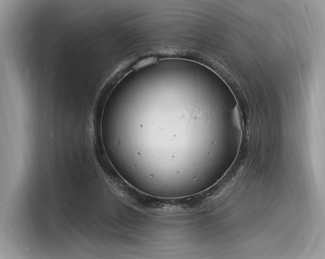 X0000116130256200911301353