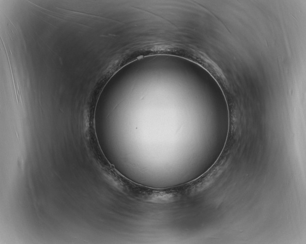 X0000116130257200911301353