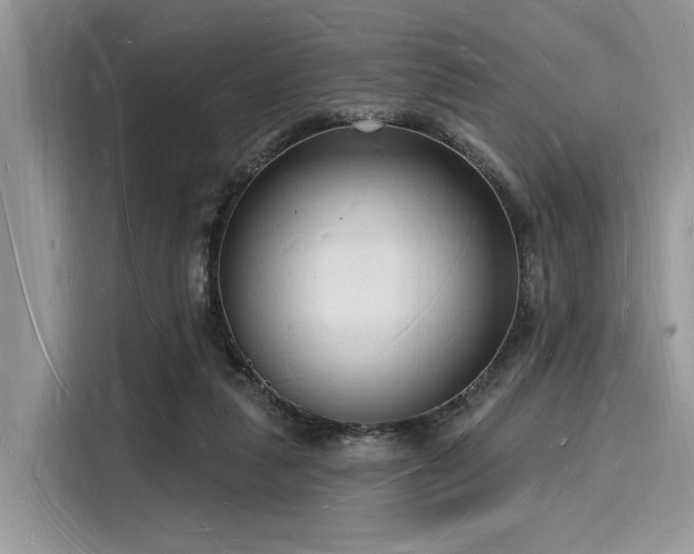 X0000116130259200911301353
