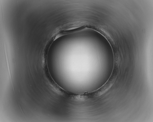 X0000116130261200911301353